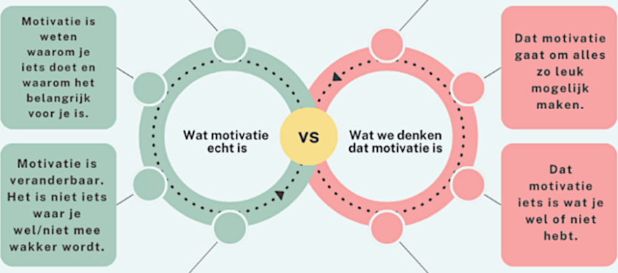 mc-motivatie